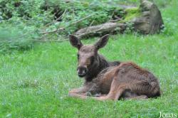 Zoologischer Garten Rostock