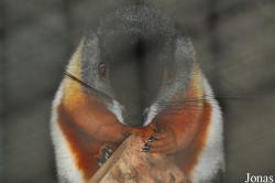 Zoologischer Garten Rostock