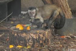 Zoologischer Garten Rostock