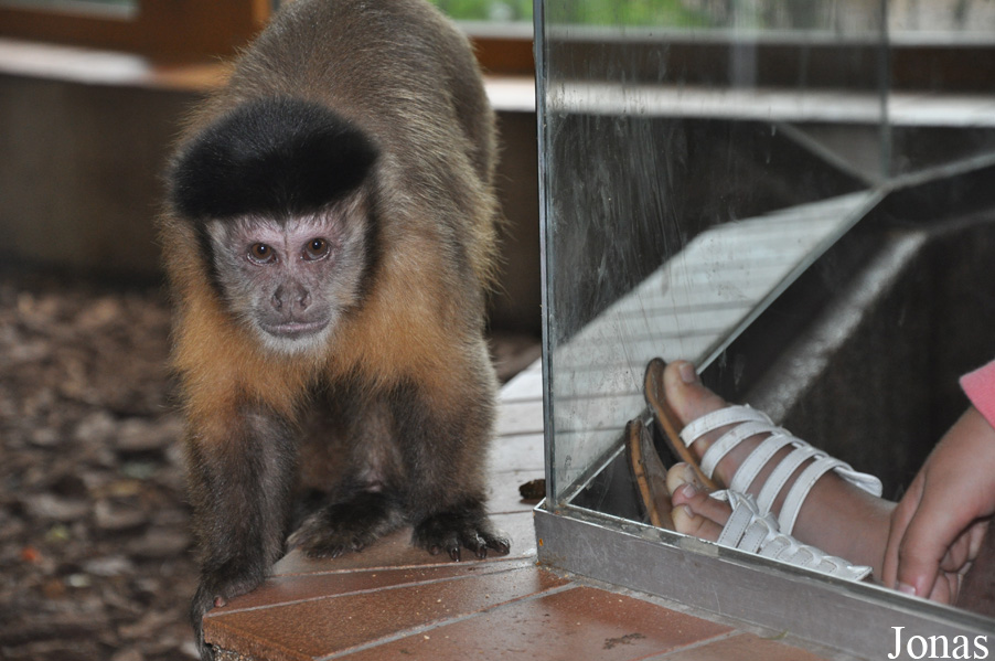Zoologischer Garten Rostock