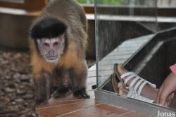 Zoologischer Garten Rostock