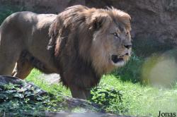 Erlebnis-Zoo Hannover