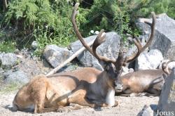 Erlebnis-Zoo Hannover