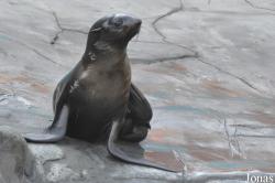 Erlebnis-Zoo Hannover
