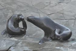Erlebnis-Zoo Hannover