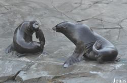 Erlebnis-Zoo Hannover