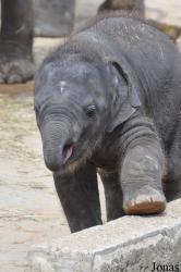 Erlebnis-Zoo Hannover