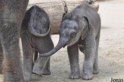 Erlebnis-Zoo Hannover