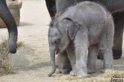 Erlebnis-Zoo Hannover