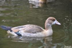 Erlebnis-Zoo Hannover