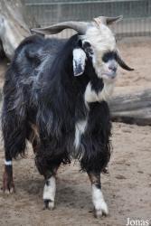 Tierpark Gettorf