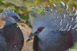 Tierpark Gettorf
