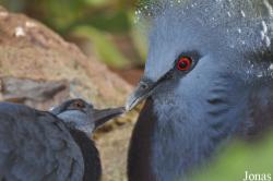 Tierpark Gettorf