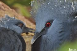Tierpark Gettorf