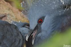 Tierpark Gettorf