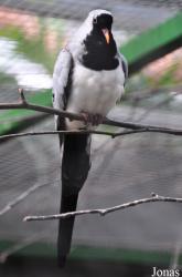 Tierpark Gettorf