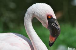 Tierpark Gettorf