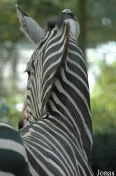 Parc Zoologique et Paysager de Mervent