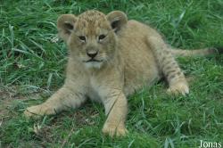 Zoo des Sables d'Olonne