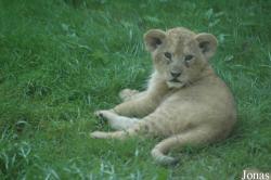 Zoo des Sables d'Olonne