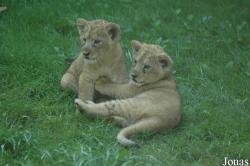Zoo des Sables d'Olonne