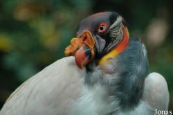 Zoo des Sables d'Olonne