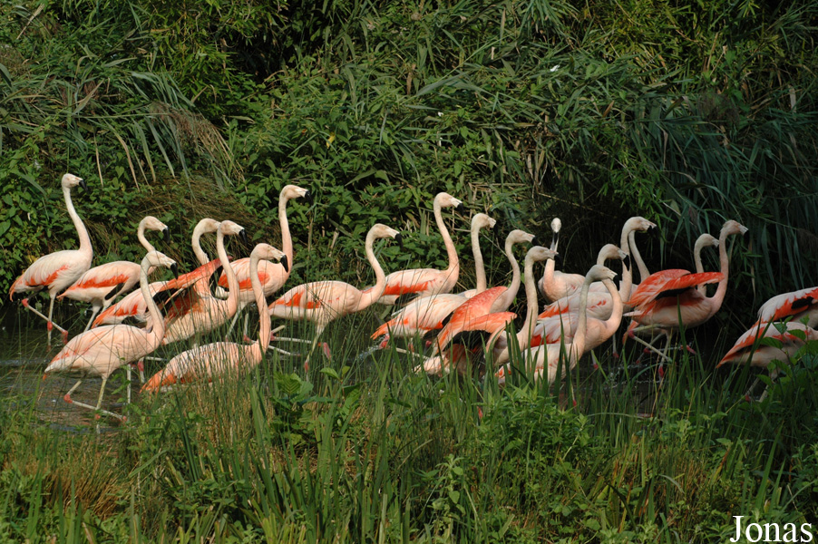 Zoo des Sables d'Olonne