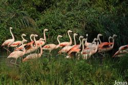 Zoo des Sables d'Olonne