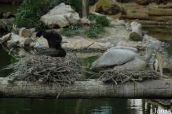 Parque Zoológico de Lagos