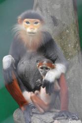Safari World