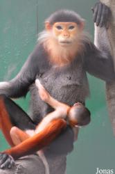 Safari World