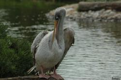 Parque Zoológico de Lagos