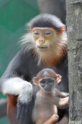Safari World