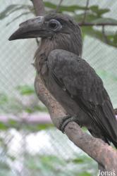 Dusit Zoo