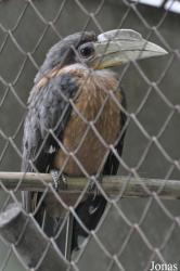 Dusit Zoo