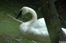Parc Zoologique du Bois d'Attilly