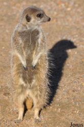 Durrell Wildlife Conservation Trust