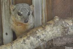 Durrell Wildlife Conservation Trust