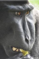 Durrell Wildlife Conservation Trust