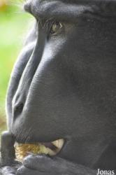 Durrell Wildlife Conservation Trust