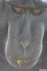 Durrell Wildlife Conservation Trust