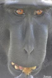 Durrell Wildlife Conservation Trust