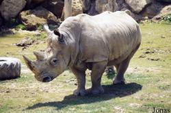 Zoo d'Amnéville