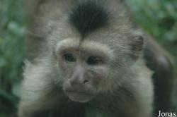 Shanghai Wild Animal Park