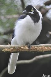 Birdland Park & Gardens