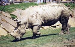 Zoo d'Amnéville