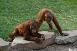 Parc Zoologique de la Boissière du Doré