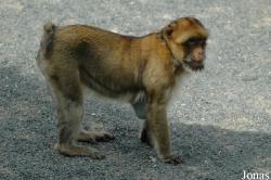 Parc Zoologique de la Boissière du Doré