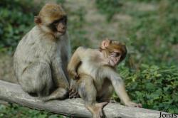 Parc Zoologique de la Boissière du Doré