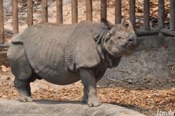 Chiangmai Zoo